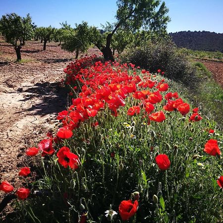 Cortijo Los Soledad El Sauco ภายนอก รูปภาพ