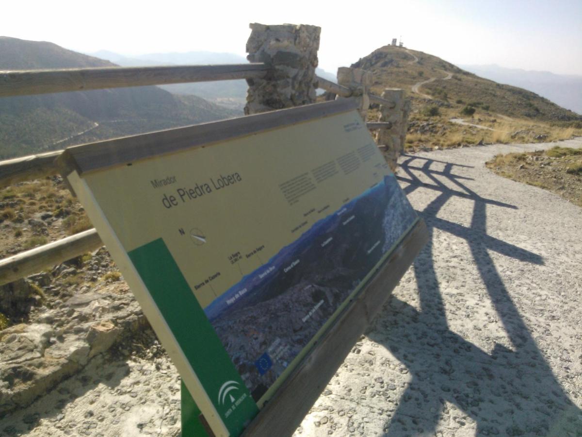Cortijo Los Soledad El Sauco ภายนอก รูปภาพ