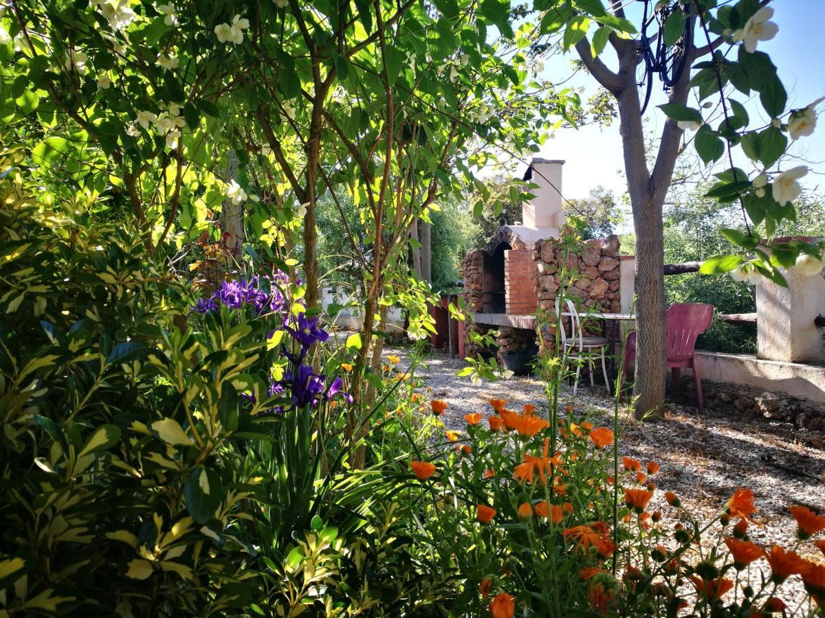 Cortijo Los Soledad El Sauco ภายนอก รูปภาพ