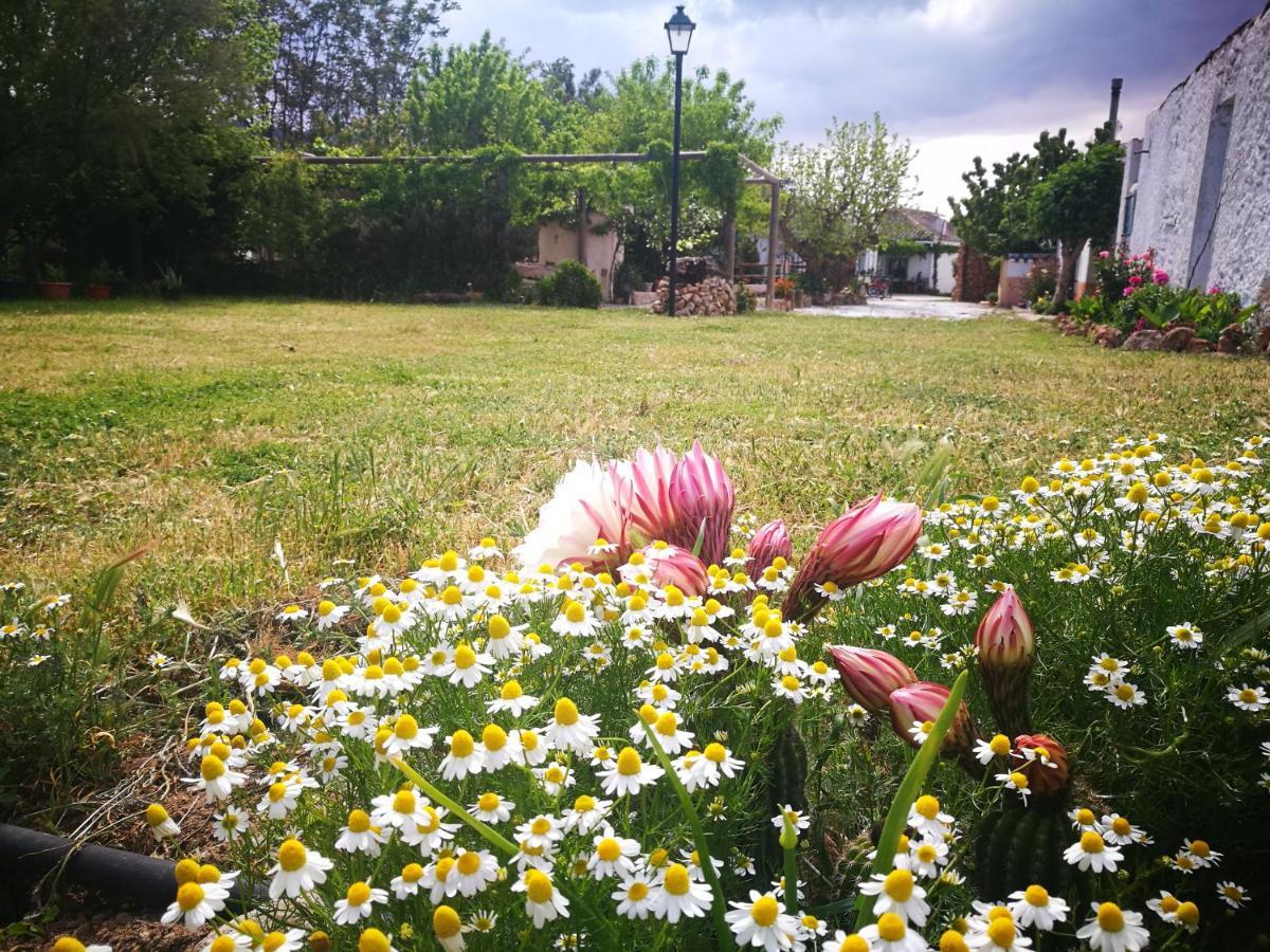 Cortijo Los Soledad El Sauco ภายนอก รูปภาพ