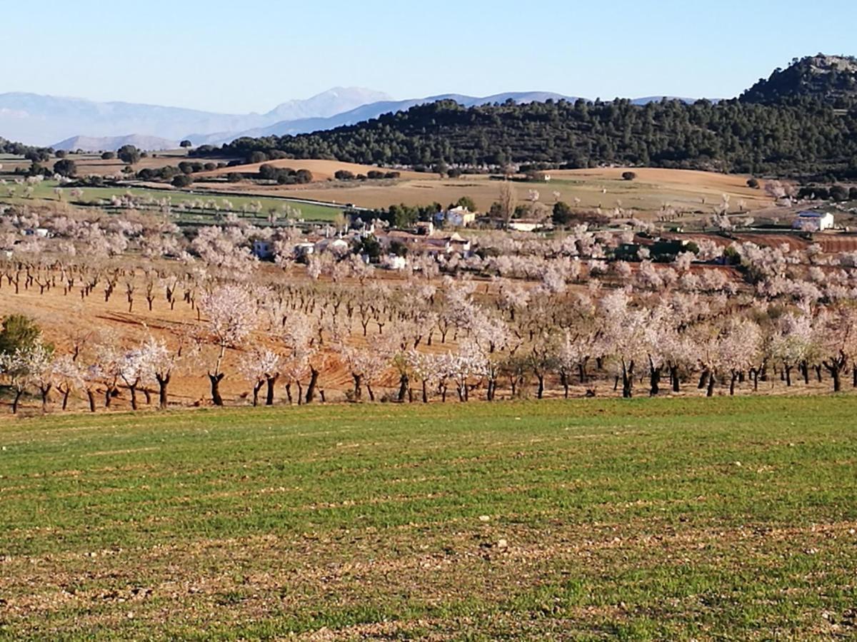 Cortijo Los Soledad El Sauco ภายนอก รูปภาพ