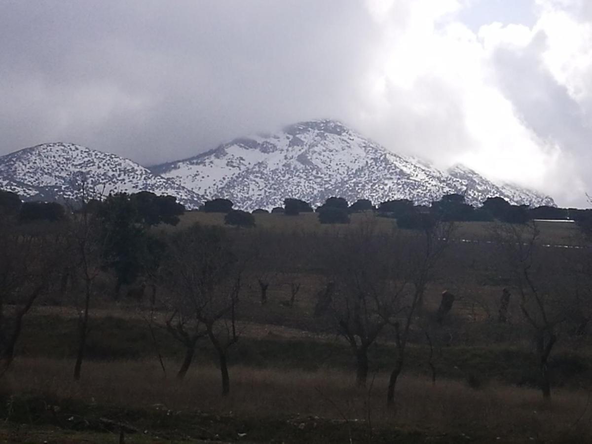 Cortijo Los Soledad El Sauco ภายนอก รูปภาพ