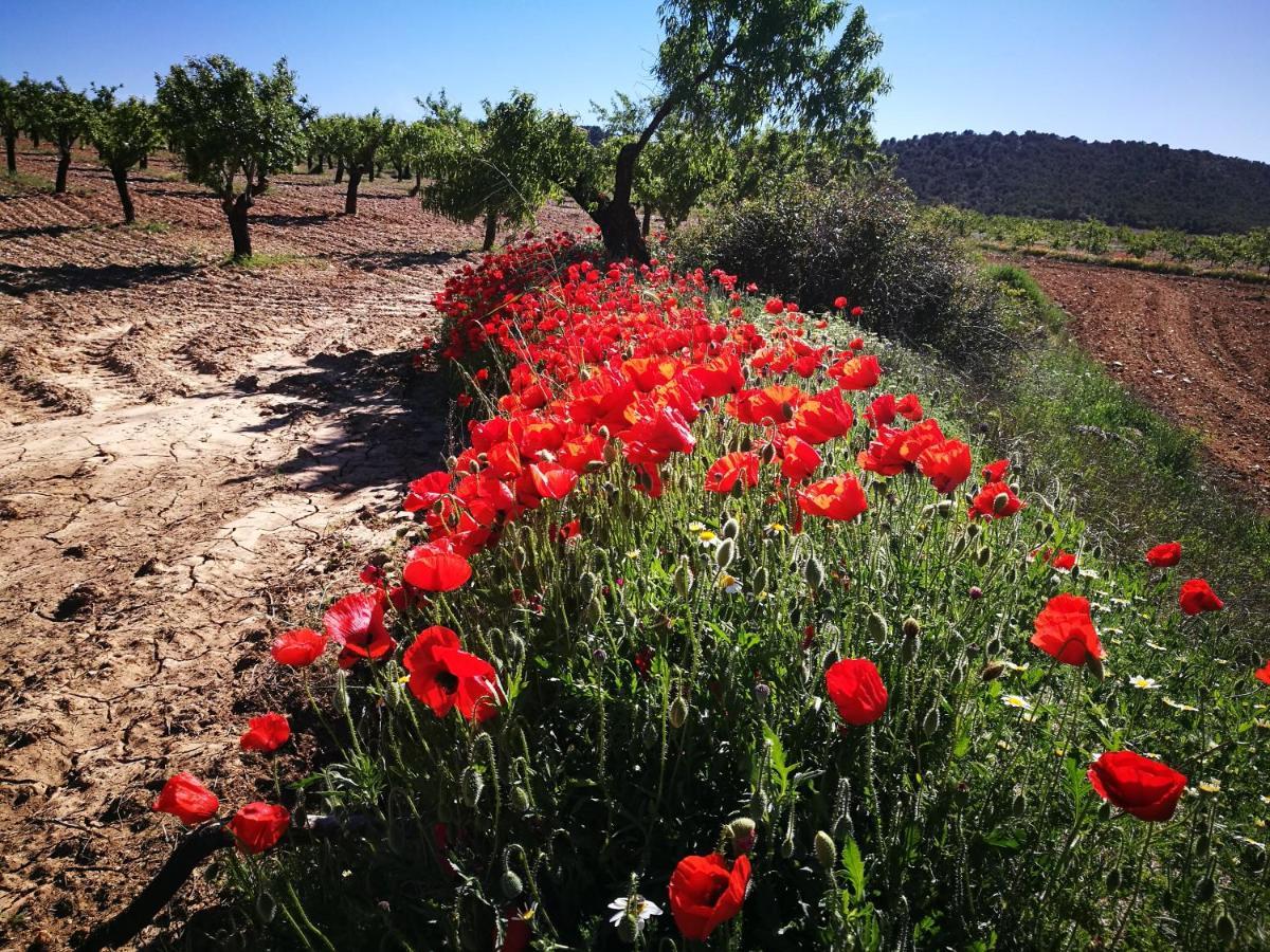 Cortijo Los Soledad El Sauco ภายนอก รูปภาพ