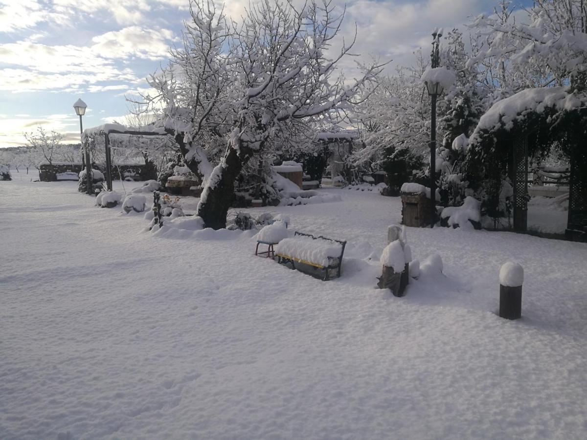 Cortijo Los Soledad El Sauco ภายนอก รูปภาพ