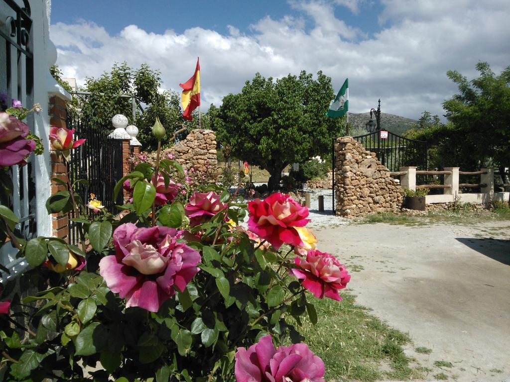 Cortijo Los Soledad El Sauco ภายนอก รูปภาพ