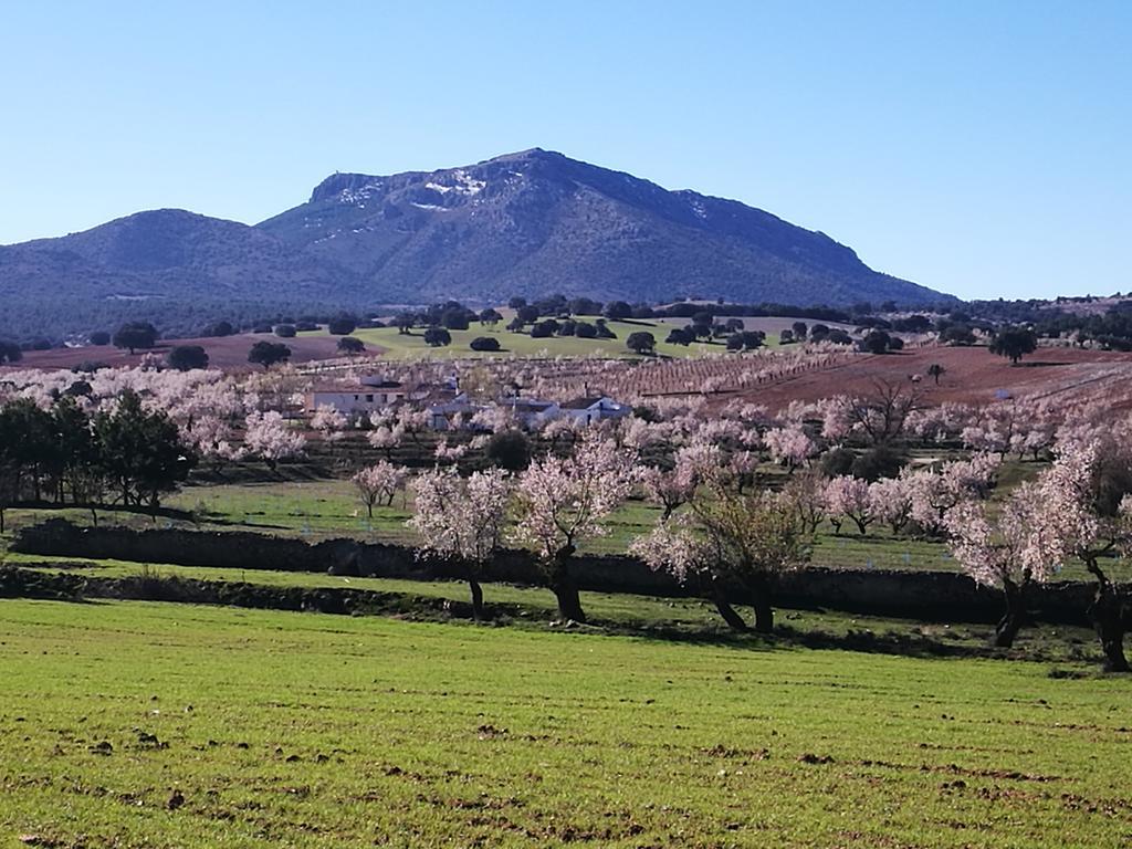 Cortijo Los Soledad El Sauco ภายนอก รูปภาพ