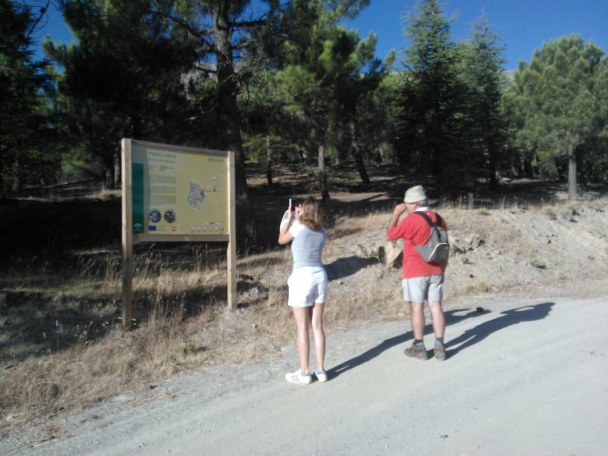 Cortijo Los Soledad El Sauco ภายนอก รูปภาพ